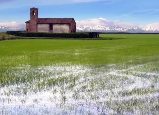 Il riso vercellese e l’Europa, la parola ai vertici del settore