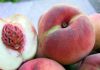 La frutta del Piemonte a �Fruit logistica 2024� a Berlino