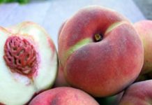 Frutta: aumento vertiginoso dei prezzi al dettaglio ma per i produttori guadagni sempre più risicati