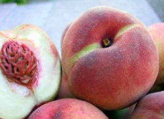 Sulla sicurezza degli alimenti vince il Made in Italy
