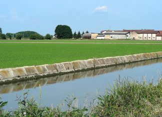 Inziato l’allagamento delle risaie, il Consorzio Baraggia: “La semina interrata va disincentivata”