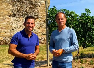 Gattinara nel futuro con i dati sulle vigne raccolti dal Politecnico di Torino