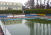 Campomimosi e Greppi: “molti dubbi da dissolvere sul progetto di copertra della piscina”
