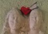 San Valentino al Museo Leone