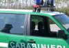 Piromane 47enne biellese in carcere a Vercelli