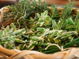 Al Museo Leone laboratorio e degustazione di cucina medievale