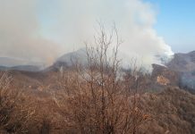 La Regione proclama lo stato di massima pericolosità per gli incendi boschivi
