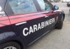 Topi nel silos, sequestrate 220 tonnellate di riso