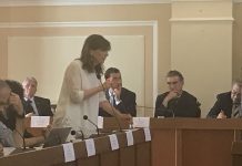 Pd e Maura Forte presentano un’interrogazione sul ripetitore telefonico al rione Canadà