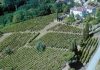 Le Aziende Agricole Sella di Lessona vincono il Concorso Enologico “Calice d’Oro dell’Alto Piemonte” 2019