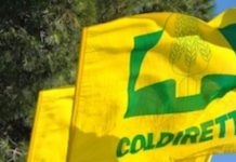 Coldiretti: “Le mani della mafia sull’agroalimentare, un giro d’affari da 24,5 miliardi di euro”
