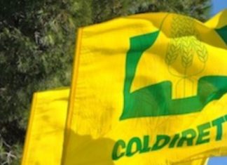 Situazione “critica” se possibile consumate carne allevata in Italia e localmente. L’allarme di Coldiretti Vercelli-Biella