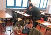 Carabinieri in divisa e cani antidroga come deterrente all’Ipsia Magni di Borgosesia