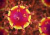 Coronavirus – A Vercelli registrati quattro contagi, sempre asintomatici