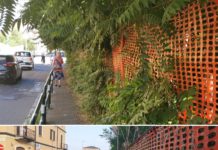 Corso De Rege: ripulito il marciapiede. Ma la giungla lungo la Roggia Molinara?