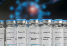 Piano vaccini anti Covid in Piemonte: ci saranno 28 hub per la somministrazione, due nel vercellese