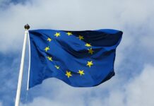 Incontro online per conoscere il futuro dell?Europa