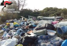Denunciato uno “svuota cantine” illegale, che abbandonava i rifiuti nei campi a Livorno Ferraris