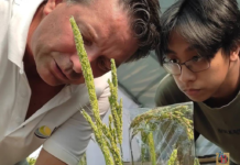 Al Museo Borgogna incontro con l’agronomo Massimo Biloni