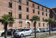 SiAmo Vercelli: “Oltre alle palme c’è (da fare) assai di più”