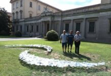 Le margherite di Massimiliano Fabris nei Giardini del Seminario