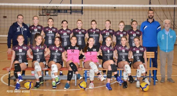 S2M foto Oddo