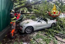 Borgosesia: albero cade su tre auto in sosta